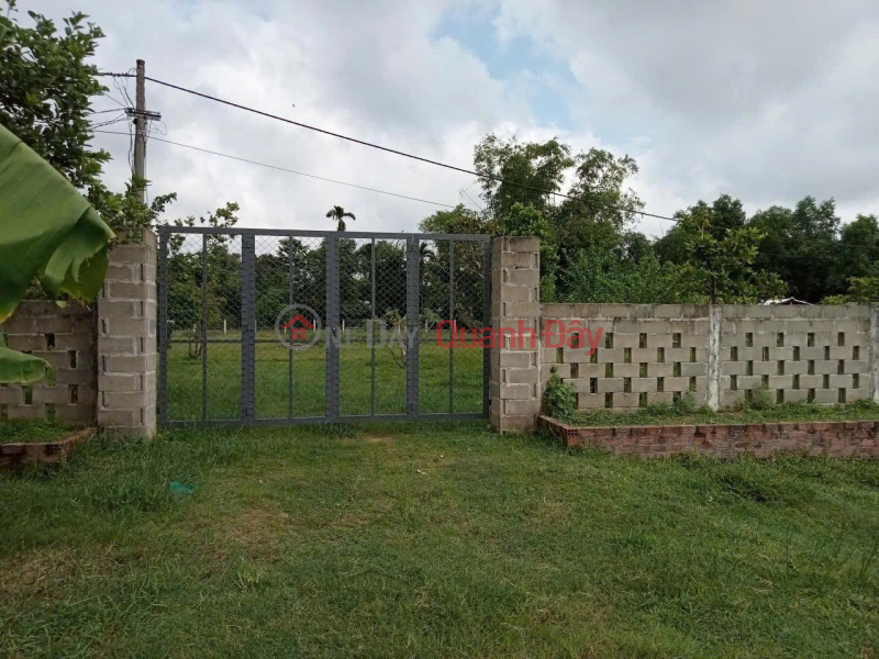 BEAUTIFUL LAND - GOOD PRICE - Owner Sells Land Lot in Nam Tuong 3 Village, Nhon Tan, An Nhon Town, Binh Dinh Sales Listings