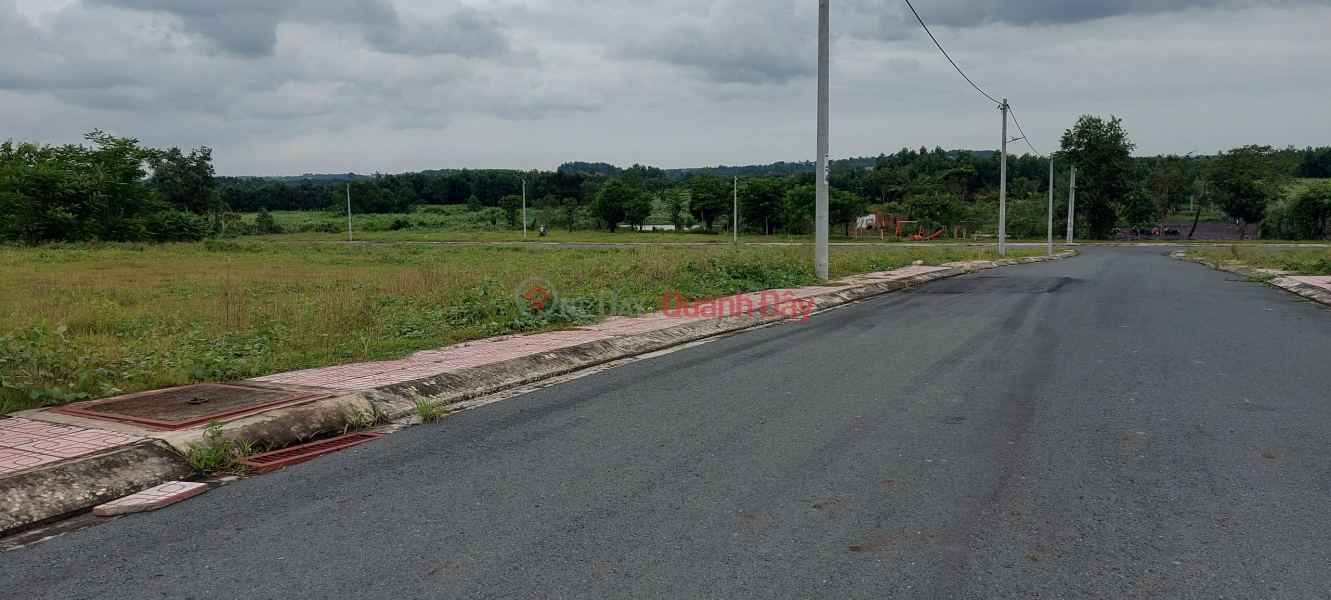 đ 1.4 Billion, Land plots in Bien Hoa City are sold cheaply by the owner