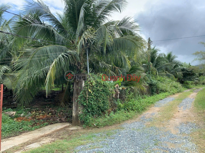 ĐẤT ĐẸP CỰC KỲ TIỀM NĂNG - BÊN KCN DIÊN THỌ, KHÁNH HÒA - Giá cực tốt cho khu công nghiệp Niêm yết bán