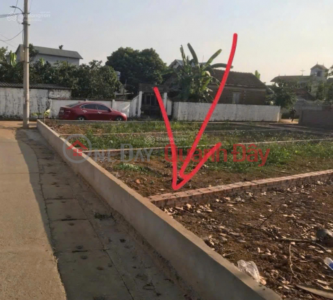 Need money to pay the bank - Urgent sale of a beautiful plot of land on Road 21A, Hoa Thach, Quoc Oai - A rare investment opportunity. _0