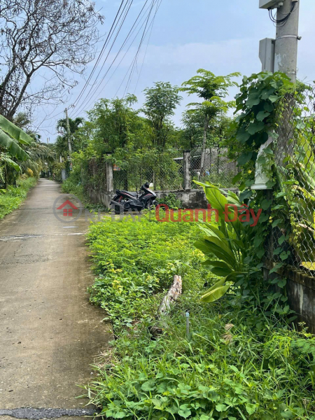 Property Search Vietnam | OneDay | Residential | Sales Listings PRIME LAND – GREAT PRICE – OWNER SELLING 3 PLOTS OF LAND IN A BEAUTIFUL LOCATION IN TIEN GIANG