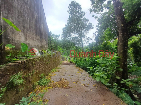 BEAUTIFUL LAND AT CHEAP PRICE IN CHUONG MY WARD, 470M2 IN TIEN PHUONG-CHUONG MY-HANOI _0