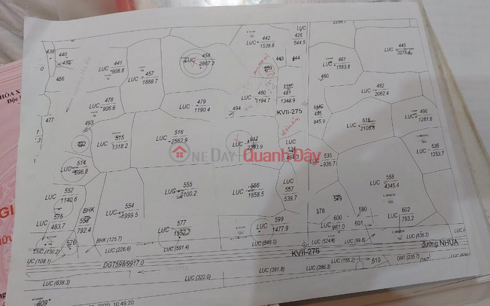 Property Search Vietnam | OneDay | Residential | Sales Listings | The Owner For Sale 1 acre of Farmland In Ham Phu, Thuan Minh, Ham Thuan Bac, Binh Thuan