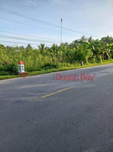 OWNER OWN A Plot Of Land With A Nice Location In Cang Long District - VERY FLOW PRICE Sales Listings