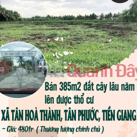 Bán 385m2 đất cây lâu năm lên được thổ cư xã Tân Hoà Thành, Huyện Tân Phước, Tiền Giang _0