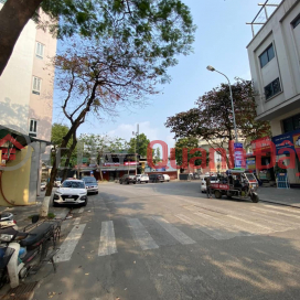 Street front of Ba Dinh district, large area, large MT, top business, 115X3T, good price 24.5 billion. _0