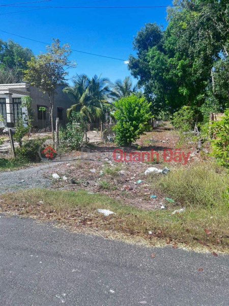 Property Search Vietnam | OneDay | Residential, Sales Listings, BEAUTIFUL LAND AT AMAZING PRICE - For Quick Sale Lot of Land with Good Location in Thanh Tay Commune, Tan Bien, Tay Ninh