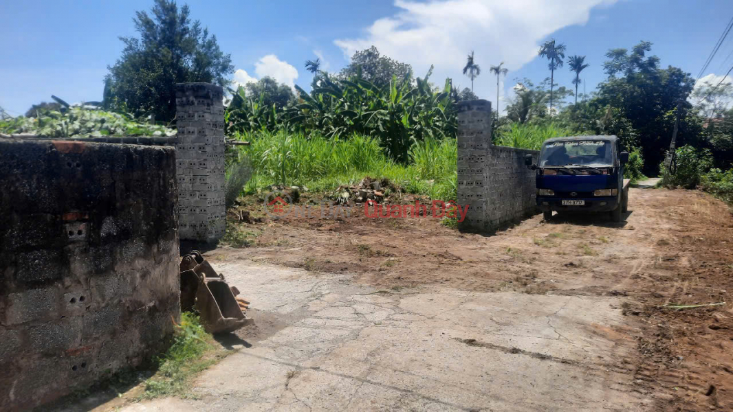 Property Search Vietnam | OneDay | Residential, Sales Listings, 600m2, 28m frontage, garden land in Binh Luc, Ha Nam