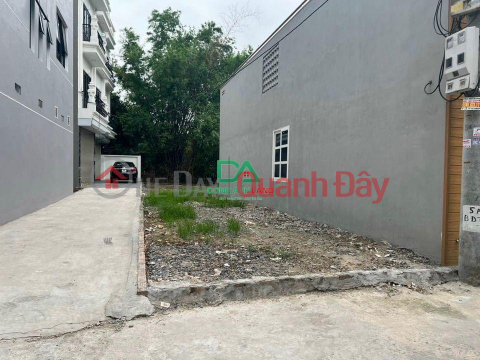 Selling corner lot 59m, Hamlet Nhi, Van Noi, Dong Anh, through the car road _0