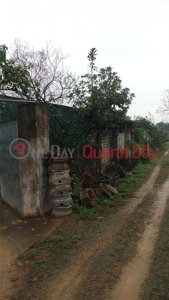 Property Search Vietnam | OneDay | Residential, Sales Listings OWNER NEEDS TO SELL LAND LOT IN Dong Son - Tam Diep - Ninh Binh