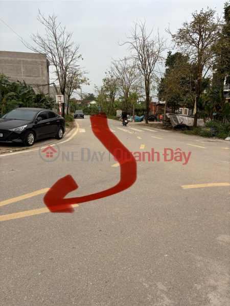 Selling a 116.6m2 plot of land (8m frontage, fully residential land) in Hoi Hop Ward, Vinh Yen City, Vinh Phuc Province. | Vietnam Sales | đ 4.2 Billion