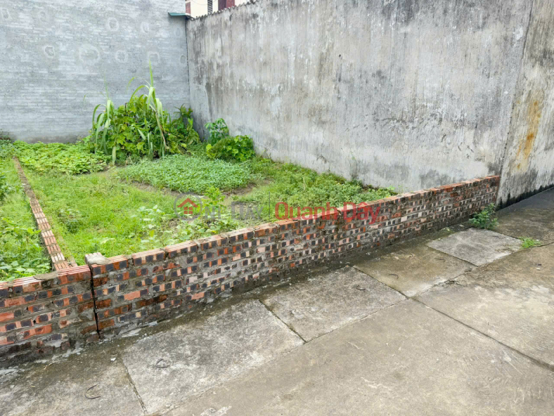 Beautiful land, group 5, Quang Minh, Me Linh, Hanoi. Near industrial park, car parking at door. Area 65m2, price 3.1 billion. | Vietnam Sales | đ 3.1 Billion