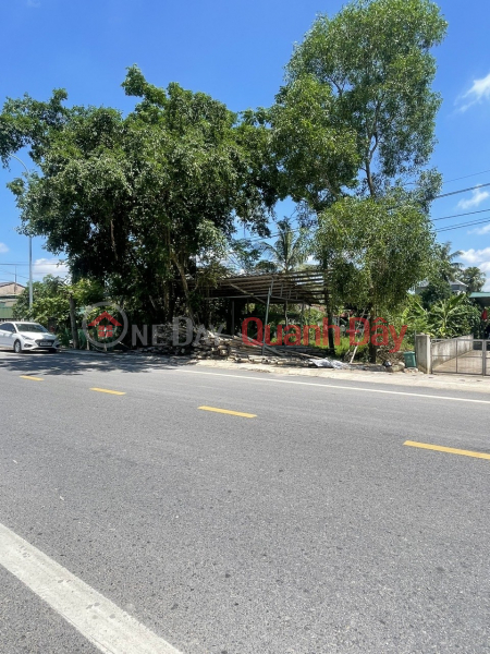 Property Search Vietnam | OneDay | Residential | Sales Listings, SUPER BEAUTIFUL LAND - INVESTMENT PRICE - For Sale Plot of Land on Thanh Nen Street - Quang Duc Commune, Quang Xuong, Thanh Hoa