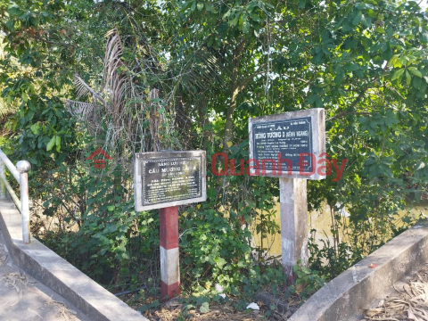 Bán vườn cây ăn trái 1000m2, xã Long Thắng huyện Lai Vung, Đồng Tháp _0