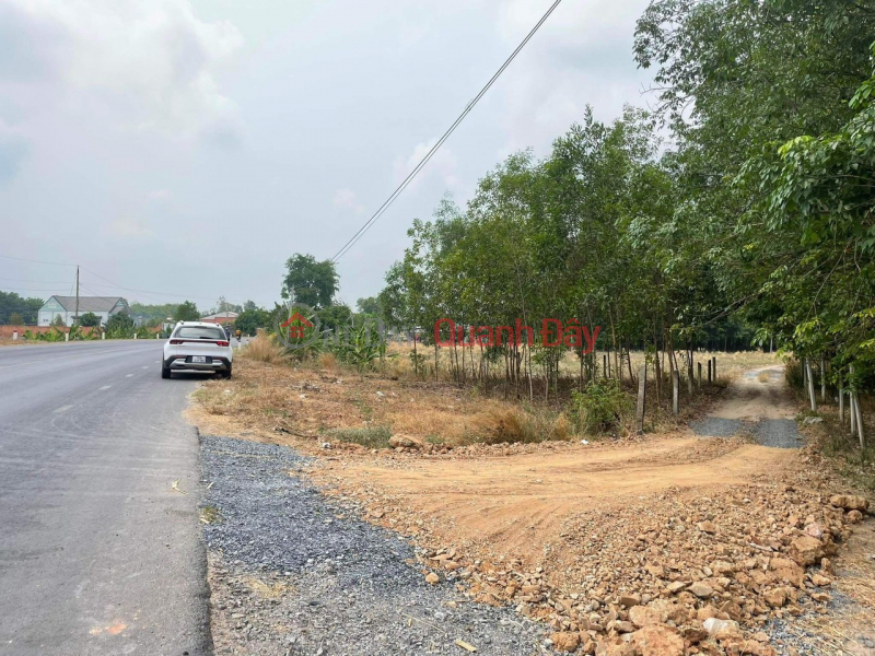 PRIMARY LAND - GOOD PRICE - Beautiful Location in Tra Vong commune, Tan Bien, Tay Ninh Sales Listings