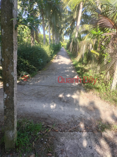 Owner For Sale Land Lot Prime Location In Phu Thuan, Phu Phong, Chau Thanh, Tien Giang Sales Listings