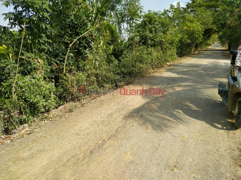 BEAUTIFUL LAND - GOOD PRICE - For Quick Sale Land Lot Prime Location In An Nong Commune, Tinh Bien Town, An Giang Sales Listings