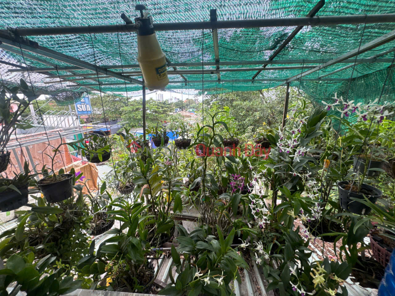  Làm ơn chọn | Nhà ở | Niêm yết bán | đ 22 tỷ