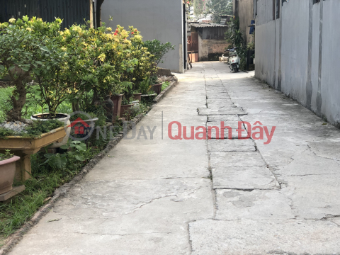 The owner needs to sell a plot of land in Quan Cham village, Phu Nghia Chuong My commune, Hanoi, Dt68'8 m, radius of several hundred meters. _0