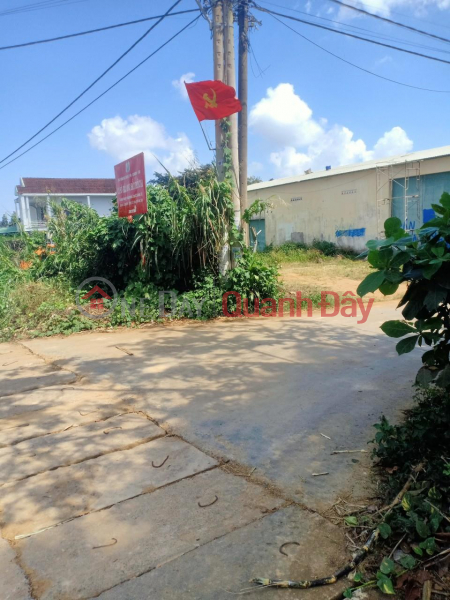 đ 5.1 Billion, OWNER NEEDS TO QUICKLY SELL LAND LOT in Than Binh Dong Village, Son Thanh Dong Commune, Tay Hoa, Phu Yen