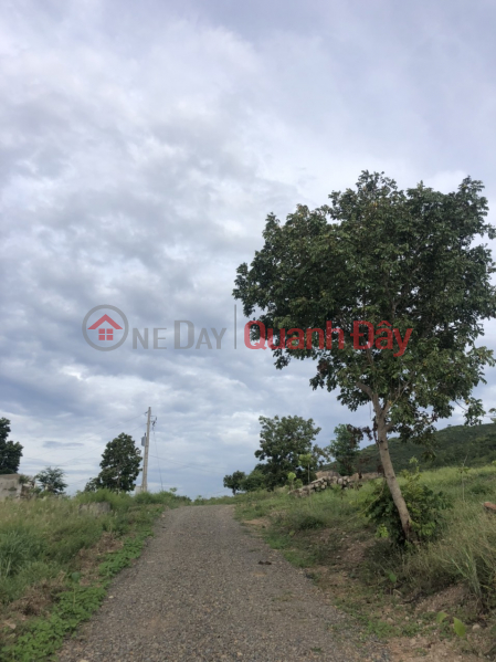 đ 5.72 Billion Land for sale in Binh Thuan, 11,591m2 - profitable investment opportunity - development potential