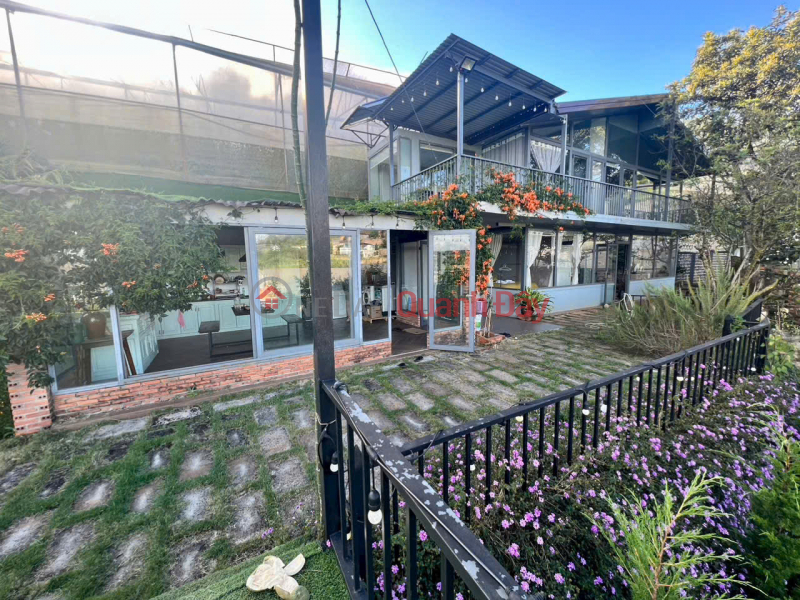 Cho thuê homestay view thung lũng diện tích gần 2.000m2 giá 15 triệu Xuân Thị Đà Lạt Lâm Đồng Niêm yết cho thuê