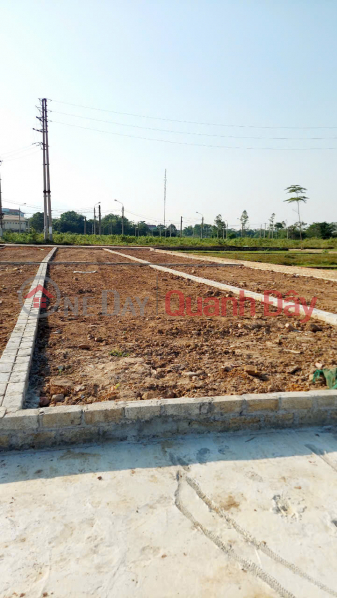 Residential land for sale, area 91.9m2 Hoa Lac, Binh Yen, Thach That, Hanoi, Vietnam Sales, đ 4.2 Billion