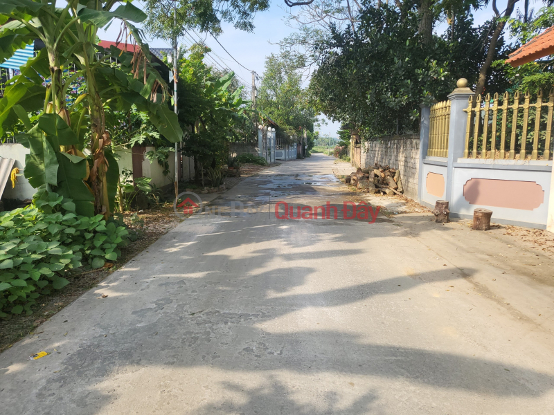 Property Search Vietnam | OneDay | Nhà ở, Niêm yết bán, Mua 150m sổ đỏ tặng thêm 80m - 02 mặt đường - mặt tiền 10m - đường liên xã
- Em có lô đất 150m, full thổ