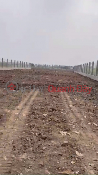 ĐẤT ĐẸP – GIÁ TỐT- CẦN BÁN LÔ ĐẤT MẶT TIỀN Đường Nhựa Tập Đoàn 16 , xã Đa Phước, Bình Chánh, TpHCM | Việt Nam Bán | đ 11 tỷ