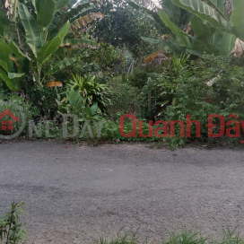 BEAUTIFUL LAND - GOOD PRICE - Urgent Sale Land Lot Beautiful Front In Tan Phu Commune, Chau Thanh District, Dong Thap _0