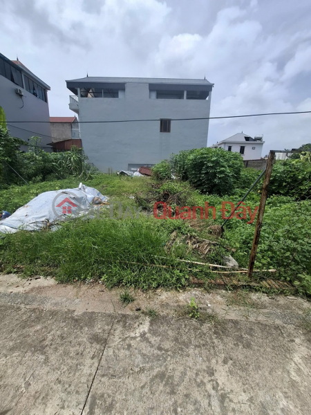 Property Search Vietnam | OneDay | Residential Sales Listings Only 2.x billion !!! Land for sale at Dinh Trung Xuan Non, 64m2, 3 cars can avoid. Contact: 0936123469