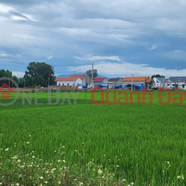My Hiep Phu My - Land for sale in Dai Son village. Beautiful location adjacent to National Highway 1A and western provincial road DDT638 _0