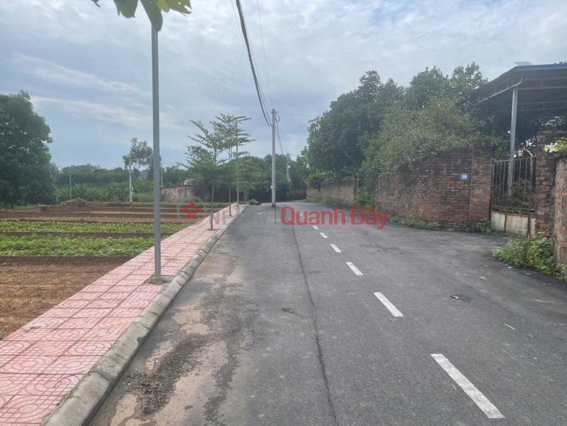 Corner plot with two street frontages in Tien Chu - Trung Gia - Hanoi - Near National Highway 3 - Potential investment, ideal place to live. Sales Listings