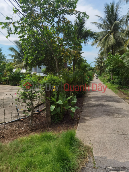 Selling 2 plots adjacent to the center of Long Phu Town, Vietnam | Sales | đ 400 Million