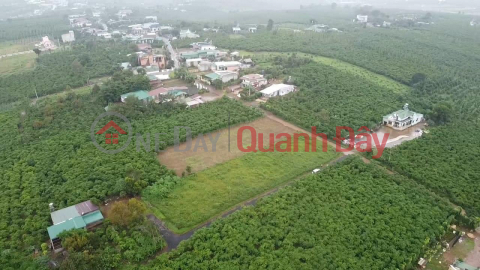 Land for sale in Lam Lam District at the same price of 439 million _0