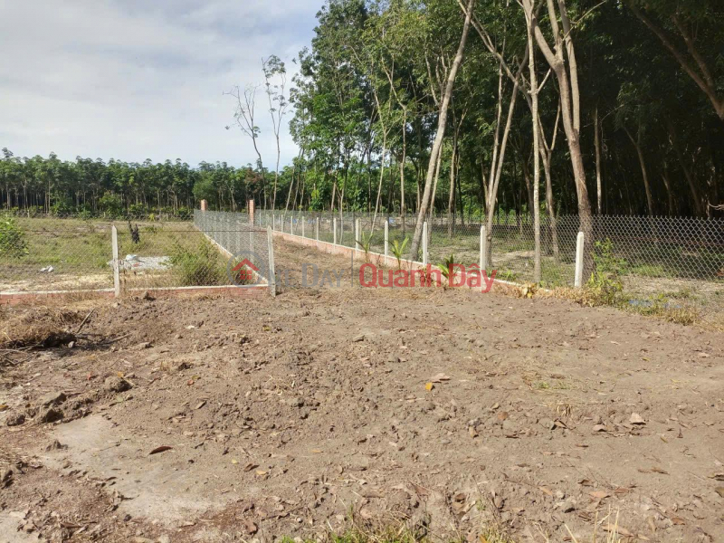 Property Search Vietnam | OneDay | Residential | Sales Listings, HOTT HOTT - Owner Needs to Quickly Sell Beautiful Land Plot in Hoa Loi - Ben Cat - Binh Duong