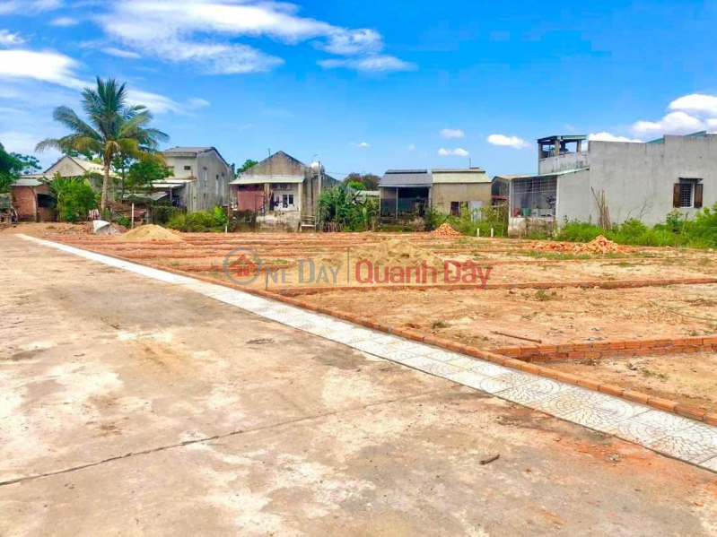Land for sale near Dai Hiep market 150m2 for only 675 million VND Sales Listings