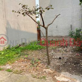 Land for sale in group 7, Quang Minh, Me Linh. Near Vo Van Kiet street and industrial park. _0