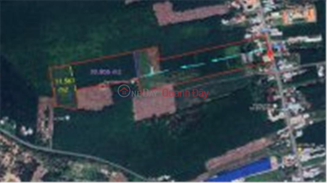 OWNER Needs to sell 4.2 acres of 5-year rubber land in Phu Giao, Binh Duong Vietnam Sales, đ 25 Billion