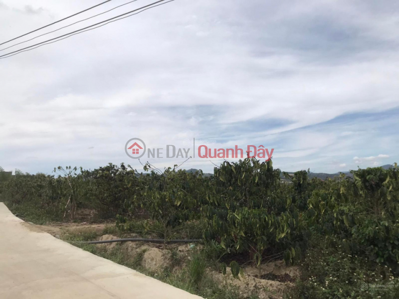 Land for sale 1.3 hectares in Ninh Gia, Duc Trong, Lam Dong, price 14.8 billion 6m concrete road Sales Listings