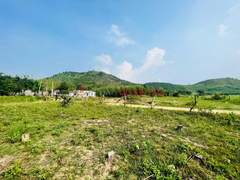 OWNERS FOR SALE LAND IN Song Bung Village, Ninh Tay Commune, Ninh Hoa Town, Khanh Hoa Sales Listings