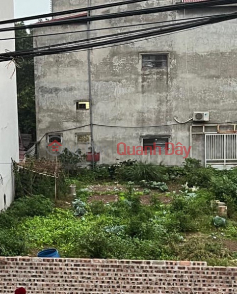 Property Search Vietnam | OneDay | Nhà ở | Niêm yết bán, BÁN ĐẤT MẶT PHỐ LIÊN MẠC, 2 THOÁNG, Ô TÔ TRÁNH TRƯỚC CỬA, VIEW SÔNG HỒNG - KHU VỰC PHÁT TRIỂN