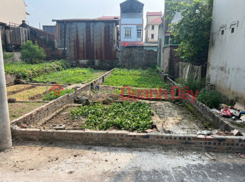 Beautiful land plot, owner - Preferential price - Prime location 74.9m2 full land at Ben Trung, Bac Hong, Dong Anh, Hanoi _0