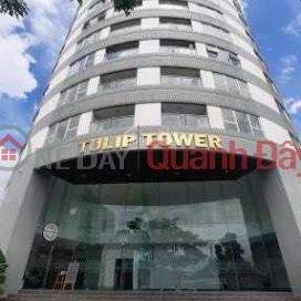 Cần bán căn hộ Tulip Tower 2 phòng ngủ, 2 WC . _0