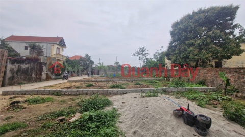 Beautiful land - investment price to own a potential F0 land lot in Thuong Tin district, Hanoi city _0