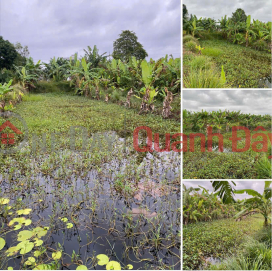 Land for Sale by Owner: 2,011m2 along Provincial Road 944, Cho Moi, An Thanh Trung Commune, An Giang Province _0