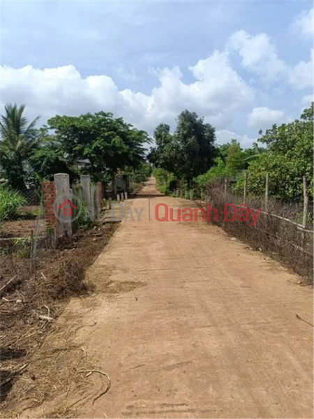 Property Search Vietnam | OneDay | Residential, Sales Listings, BEAUTIFUL LAND - INVESTMENT PRICE - OWNER URGENTLY NEEDS TO SELL LAND LOT in Hoa Phu Commune, Buon Ma Thuot City, Dak Lak