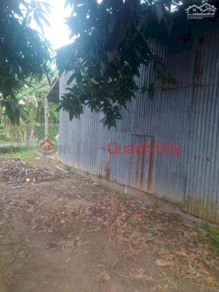 Stuck in money to sell 210m2 of An Giang asphalt road with super cheap price Sales Listings