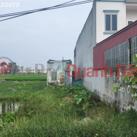 Land for sale in Lai Ha village, Tan Dan commune, An Lao district, Hai Phong city _0