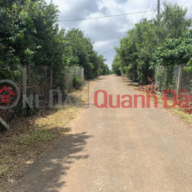 BEAUTIFUL LAND - GOOD PRICE - Land Lot For Sale In Hamlet 6, Loc Phu, Bao Lam District, Lam Dong _0